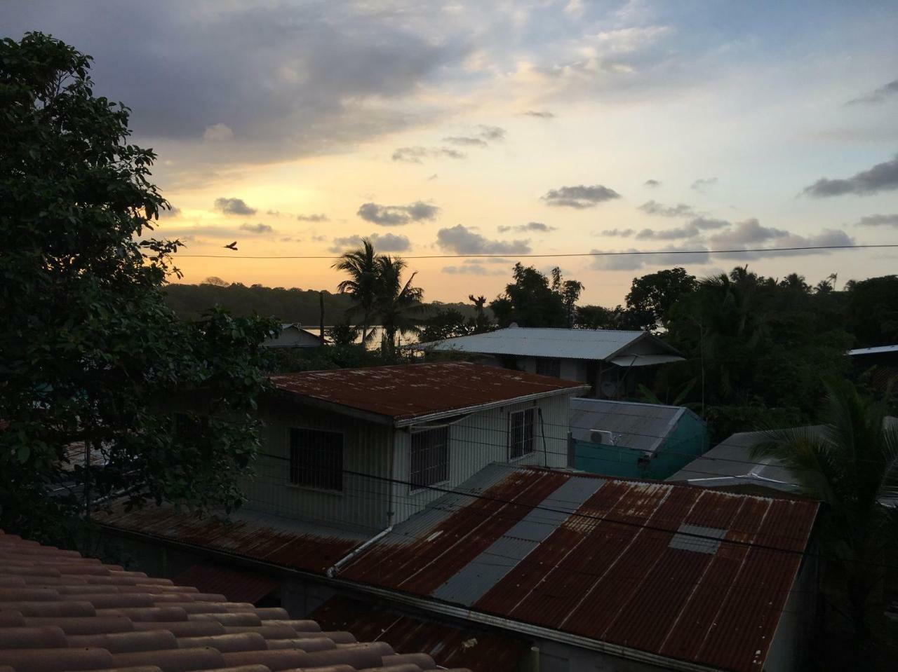 Tortuguero Casa Pelican Εξωτερικό φωτογραφία